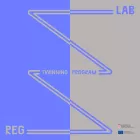 A zigzagging line moves between the words 'Reg' (regional) and 'Lab' via the phrase 'Twinning Programme'.