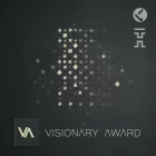 Open call announcement for the Visionary Award - text on a black background decorated with twinkly golden lights.