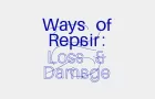 Ways of Repair: Loss and Damage